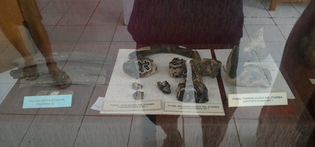 Museum Purbakala di Tambaksari-Ciamis