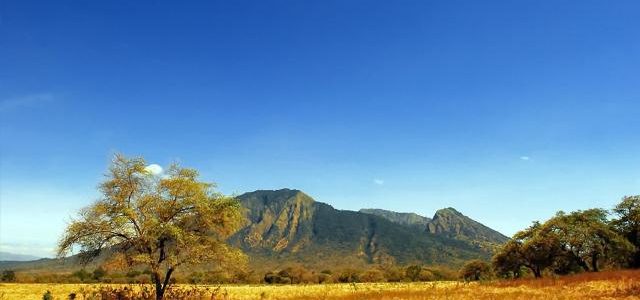 Pesona Taman Nasional Baluran di Jawa Timur