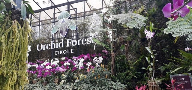 Taman Orchid Forest Cikole, Lembang-Bandung